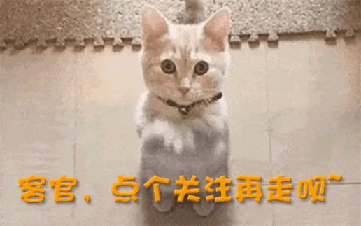 一中产最爱的电商平台停运曾叫板淘宝！ag九游会登录烧光3000万美元！又(图7)
