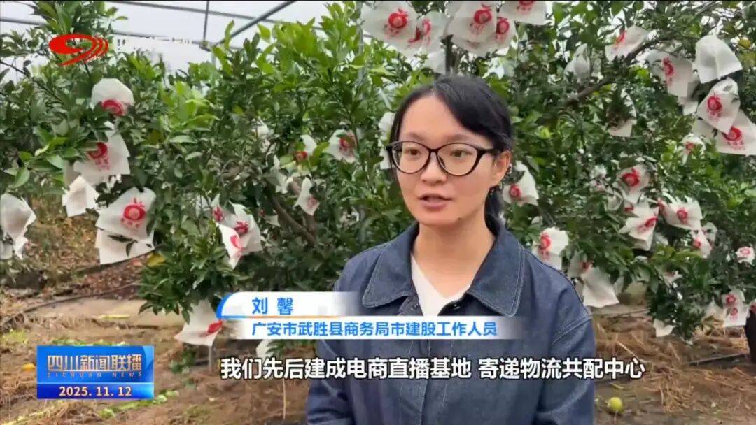 一线”看四川平台经济进阶路九游会网址是多少提振消费(图5)