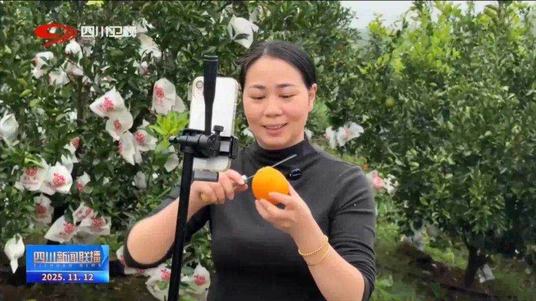 一线”看四川平台经济进阶路九游会网址是多少提振消费(图7)